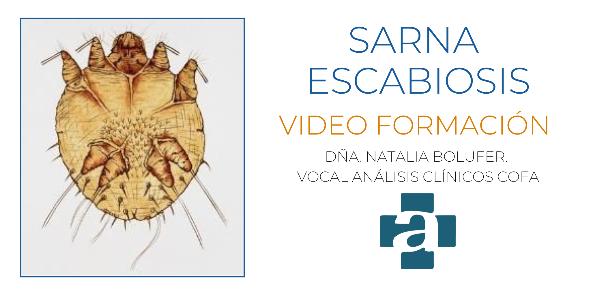 VIDEO-FORMACION-COFA-SARNA